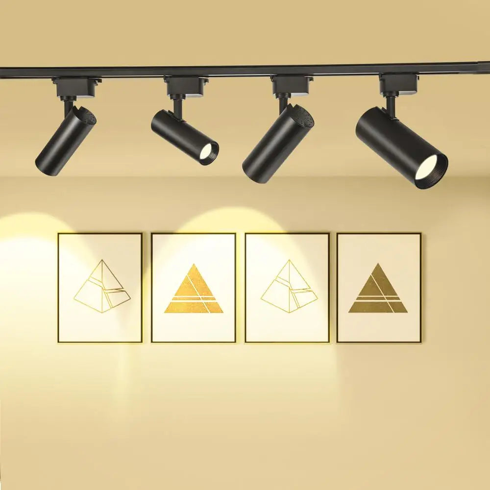 Shenzhen Kitchen Modern Black Housing Rail Lamp COB 20w 30w Led Track Light