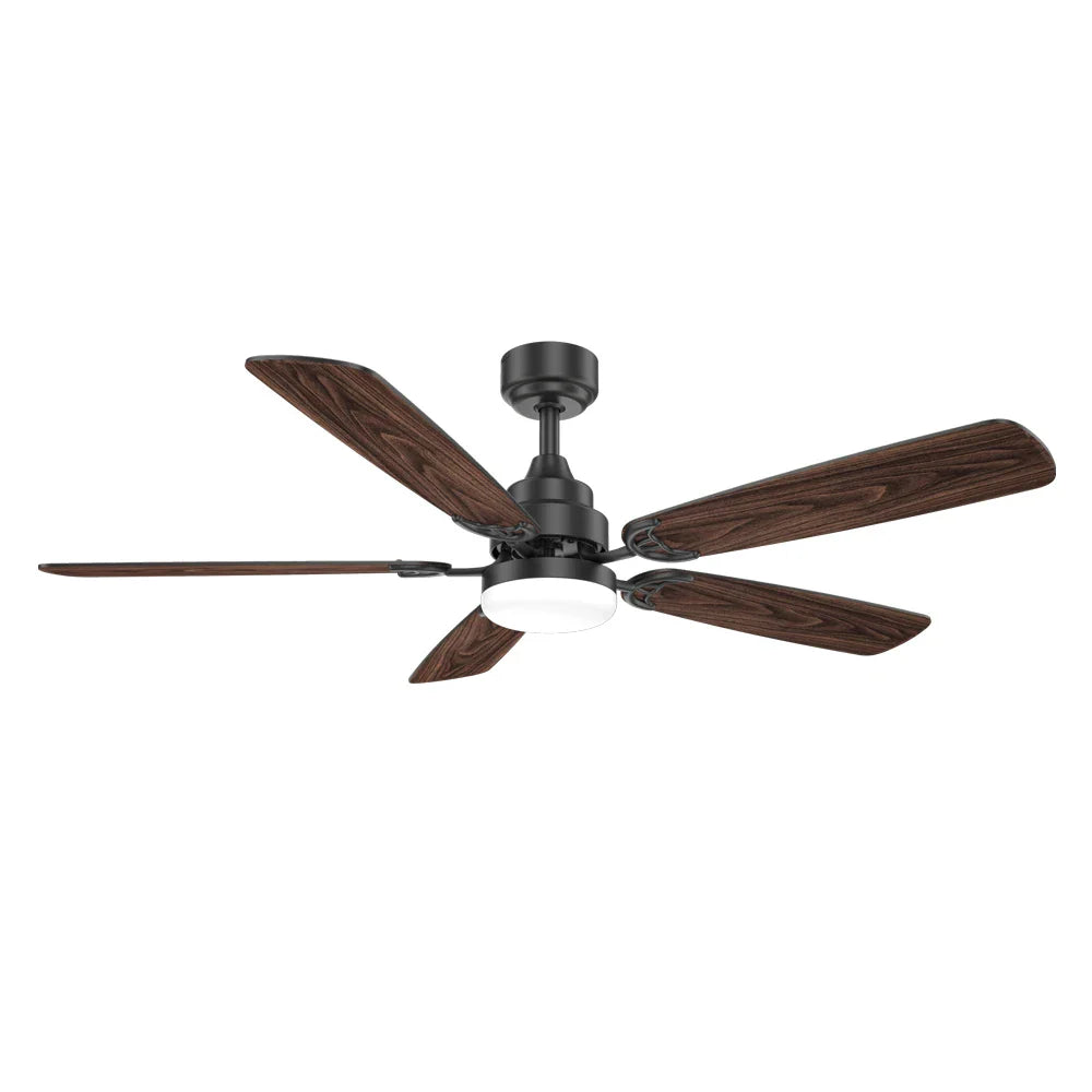 Modern Smart Ceiling Fan 2025 Fancy Ceiling Fan With Lights 52Inches Large Industrial Ventilation Ceiling Fans