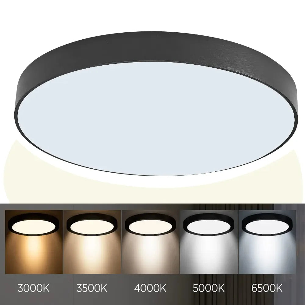 High Quality New Modern Minimalist Bedroom Ceiling Lamp Surface Mounted Slim Led Ceiling Light