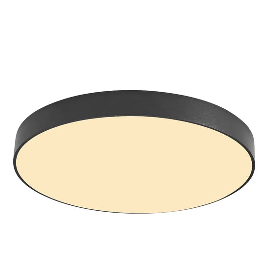 High Quality New Modern Minimalist Bedroom Ceiling Lamp Surface Mounted Slim Led Ceiling Light