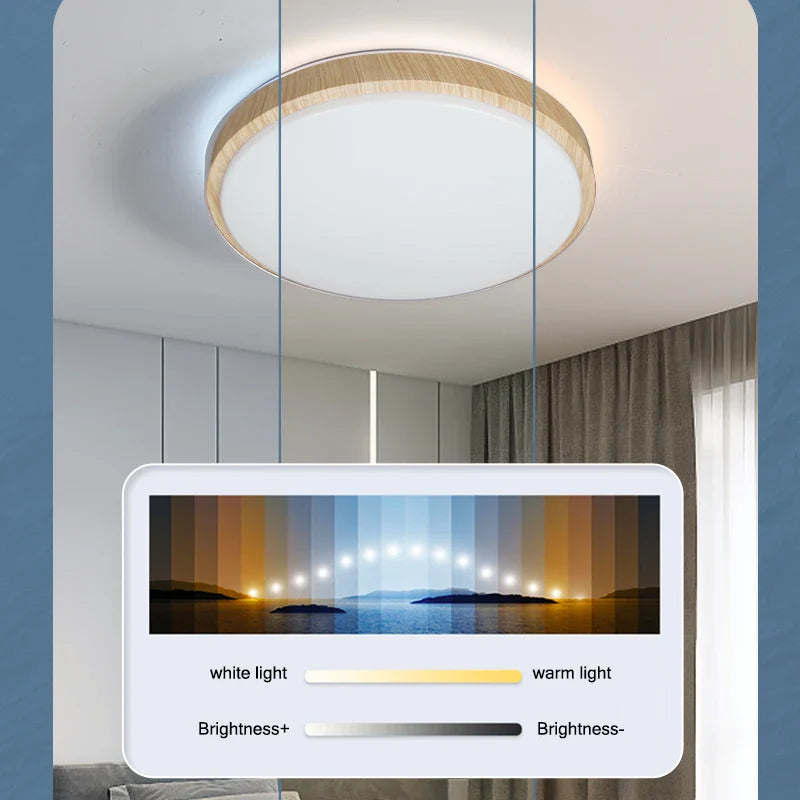 Manufacture Modern Design 3CCT Remote Dimming Ceiling Lamp Surface Mounted LED Ceiling Lights for home Decor Living Room Bedroom