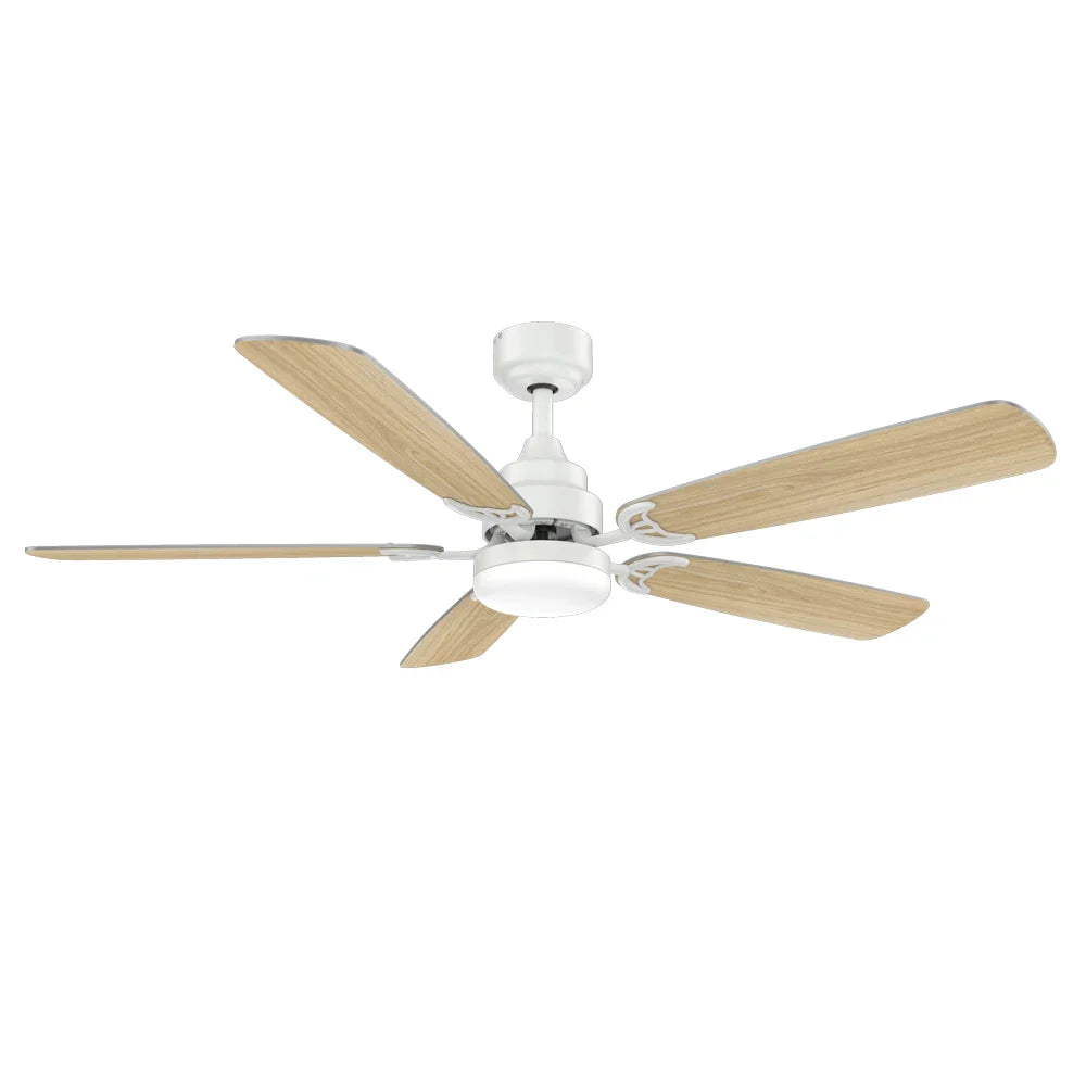 Modern Smart Ceiling Fan 2025 Fancy Ceiling Fan With Lights 52Inches Large Industrial Ventilation Ceiling Fans